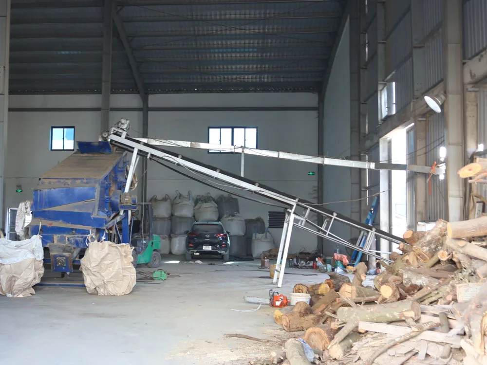 Khu vực sàng phân loại và đóng bao trong nhà xưởng